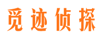 东西湖侦探公司